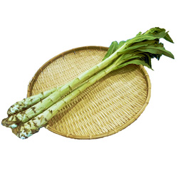 新鮮野菜：茎レタス